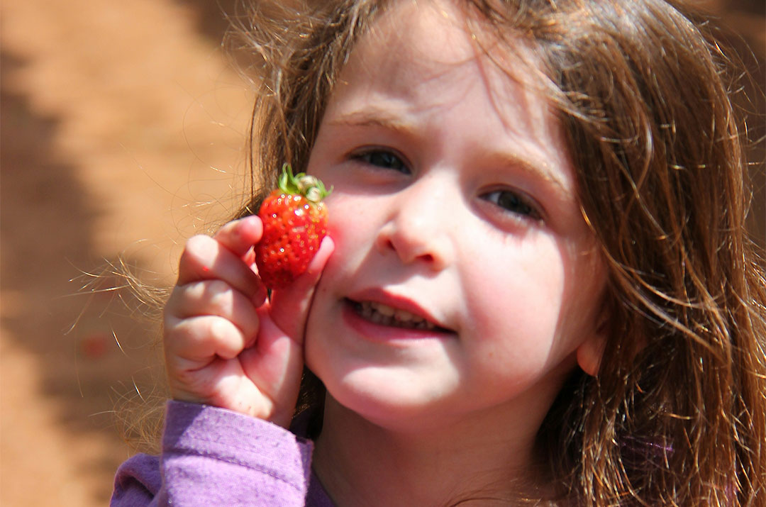 Information on the Kid's Produce Bucks program